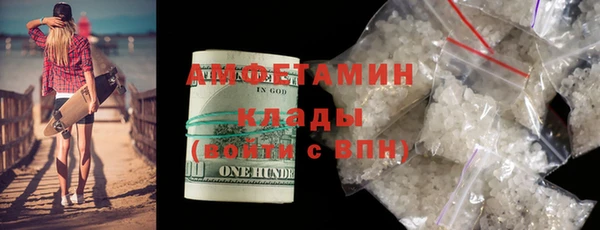 прущие грибы Апатиты