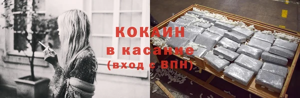 прущие грибы Апатиты