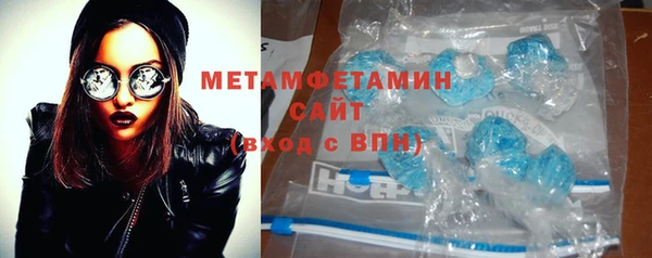 прущие грибы Апатиты