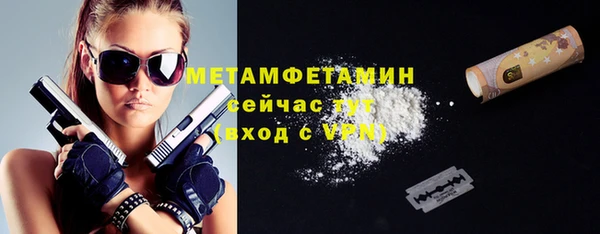 прущие грибы Апатиты