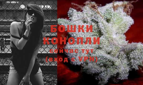тгк Анива