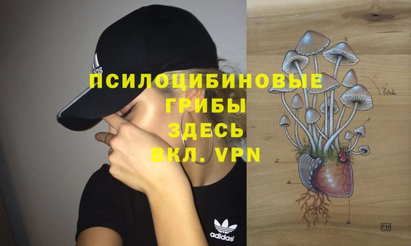 соль ск Анжеро-Судженск