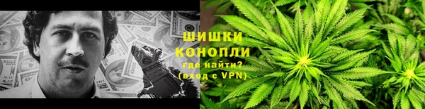 шишки Мегион