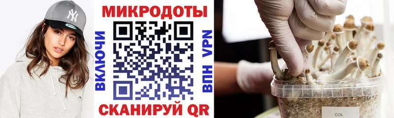 Псилоцибиновые грибы мухоморы  Змеиногорск 
